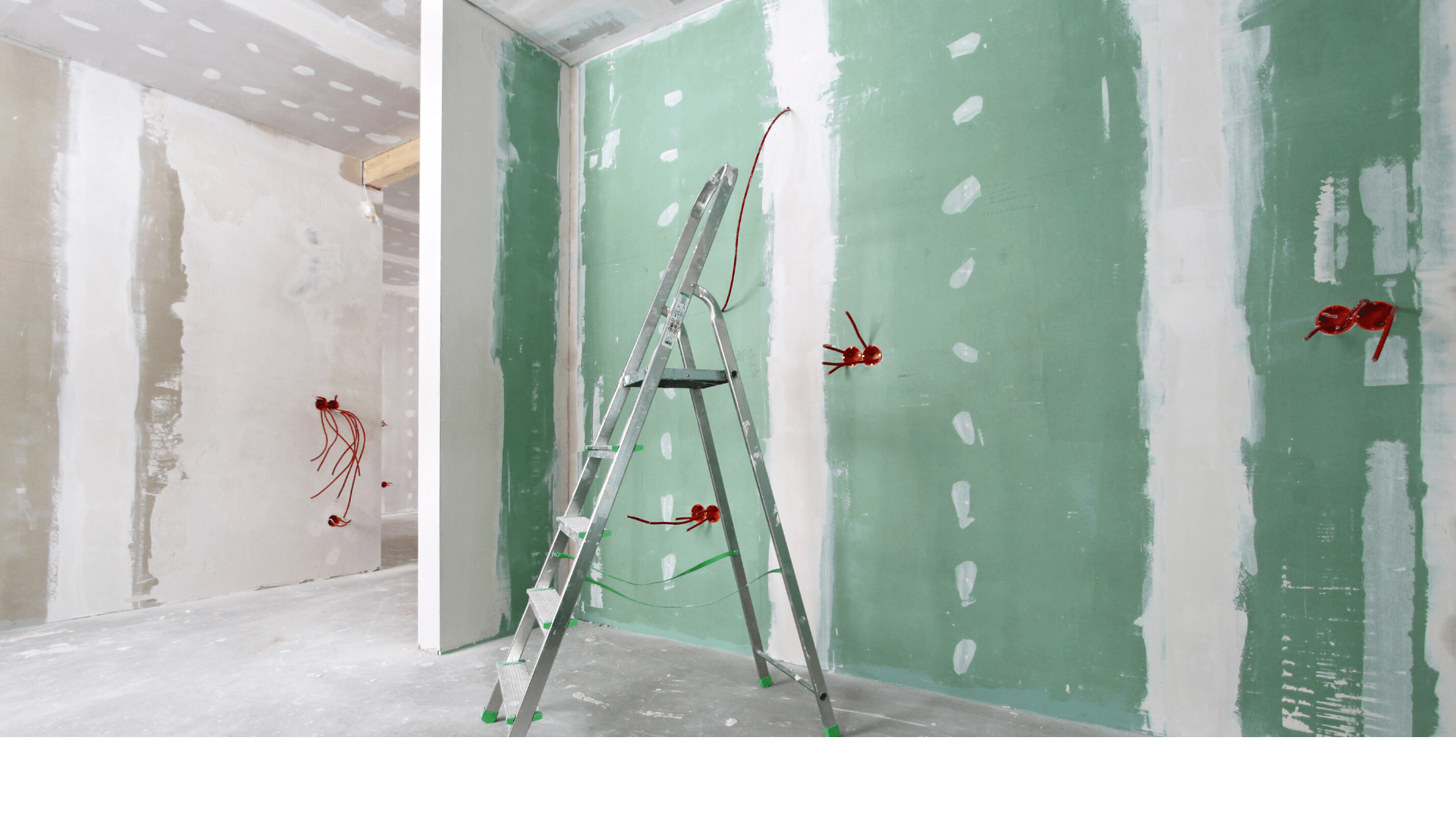 Visite gros cloison CCMI